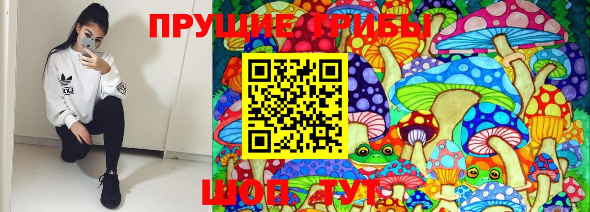 Галлюциногенные грибы Cubensis Владикавказ